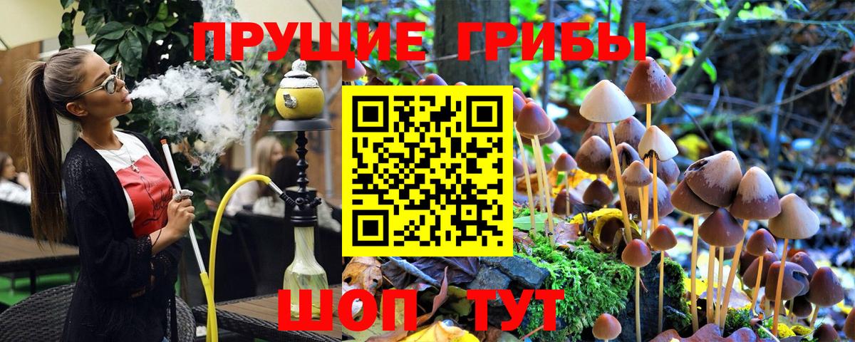 Копейск  Псилоцибиновые грибы Psilocybine cubensis  Вход с VPN 