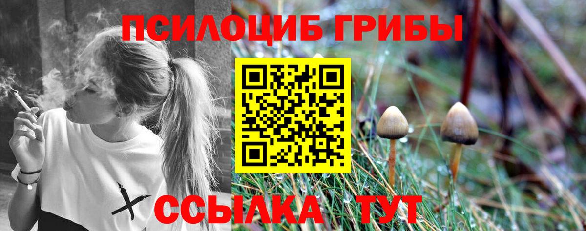 Псилоцибиновые грибы Cubensis Копейск